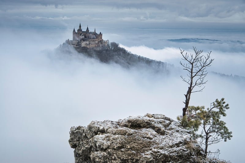 Castle Elegance